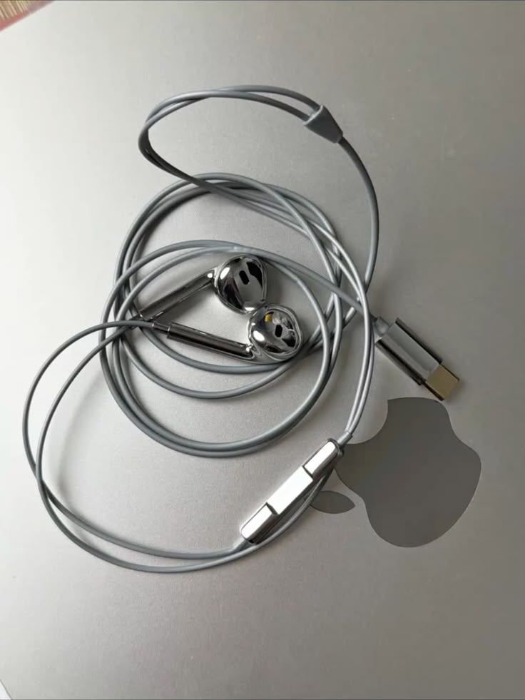Sleek Fashion Silver Chrome In-Ear Earbuds