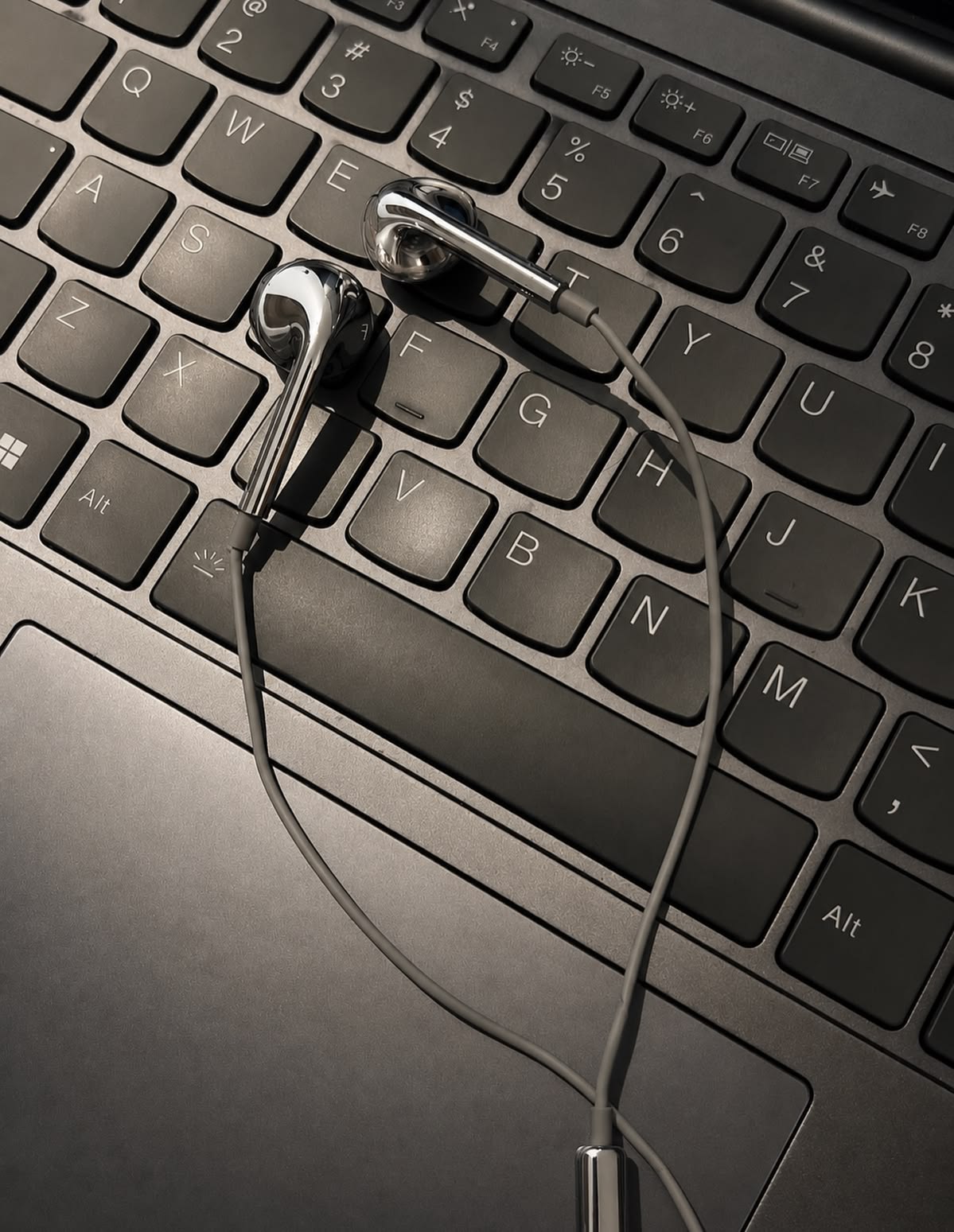 Sleek Fashion Silver Chrome In-Ear Earbuds