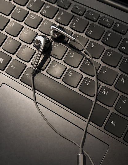 Sleek Fashion Silver Chrome In-Ear Earbuds